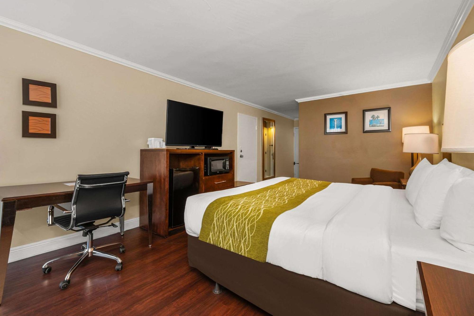 Comfort Inn Oceanside Deerfield Beach Esterno foto
